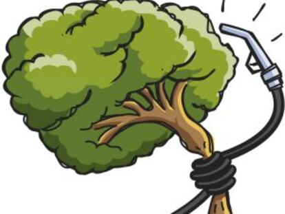 Petróleo contra la pobreza