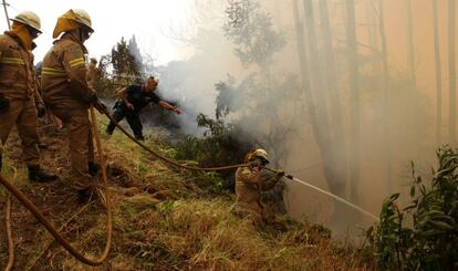 Policia i bombers intenten extingir un foc prop de Funchal, a Madeira.