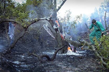 Un voluntario trata de apagar uno de los últimos focos de fuego en la Sierra Calderona ayer por la tarde.