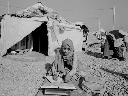 Majmur, norte de Irak. 11 de diciembre de 2016. Rusul, procedente de Majmur, estudia el Corán en el campamento de desplazados internos de Debaga 2. El campamento ha estado sometido a una tremenda presión a consecuencia del avance hacia Mosul. La mayoría de los desplazados de la instalación proceden de los alrededores de Majmur, Al Qayyarah y los pueblos al sur de Mosul controlados por el Estado Islámico.