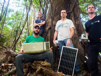 Pasen, vean y escuchen el ignoto mundo del Amazonas