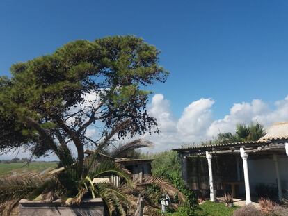 La casa de la isla de Buda donde vivió Gabi Martínez.