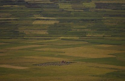 La lejanía e inaccesibilidad de tantas aldeas de Nepal es una de las dificultades más grandes para el crecimiento y el desarrollo. La inestabilidad política, una infraestructura rural deficiente, la falta de irrigación y de tierras agrícolas, y la modificación de las pautas del clima son otras. (Fuente: FAO)