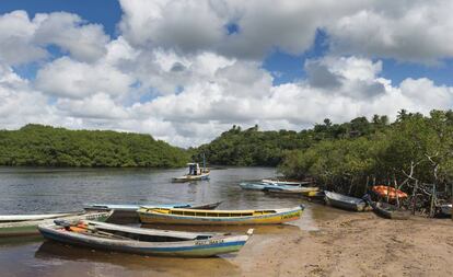 Barcos de pesca entre los manglares de Bahía, Brasil.