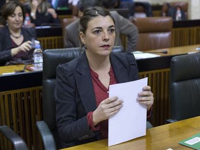 Elena Cort&eacute;s en el Parlamento de Andaluc&iacute;a.