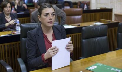 Elena Cort&eacute;s en el Parlamento de Andaluc&iacute;a.