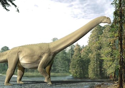 Recreación artística del 'Diamantinasaurus matildae', que podía alcanzar los 16 metros de longitud y pesar más de 20 toneladas. Los restos encontrados son de un joven de unos 11 metros.