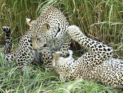 Volando hacia Kenia y Tanzania