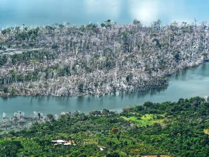 Vista aérea de uma parte da floresta amazônica incendiada no Brasil.