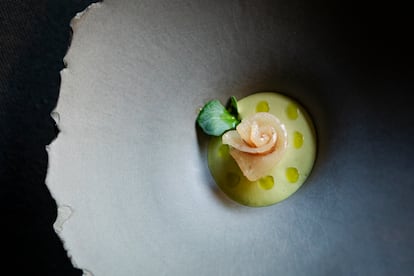 'Bonito, muy bonito' se llama este plato de bonito curado sobre una crema de anacardos y tomatillo verde, del restaurante Casa Solla.