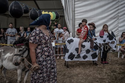 Carrera de Burros en Collao, Asturias (julio de 2024).