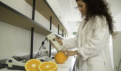 Una técnica del IFAPA del Centro Las Torres-Tomejil mide el color de una naranja.