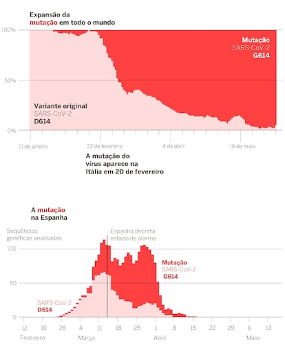 infográfico mutação2