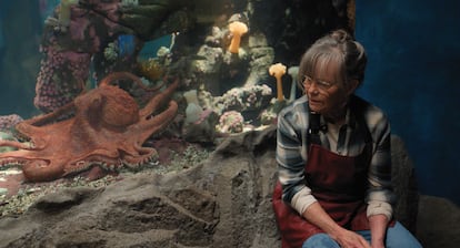 Sally Field interpreta a Tova, la limpiadora de un acuario amiga del pulpo Marcellus and, en 'Criaturas Luminosas' (Netflix, 2026), por la que ha ganado un Emmy.