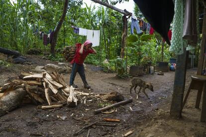Alex García, de 16 años, carga madera cerca de su casa en la pequeña aldea de Aldea La Laguna, en las montañas de Huehuetenango, Guatemala. En los municipios más pobres, miles de niños pierden meses de escuela primaria porque sus padres los llevan a trabajar en la cosecha en la costa y en México. 
