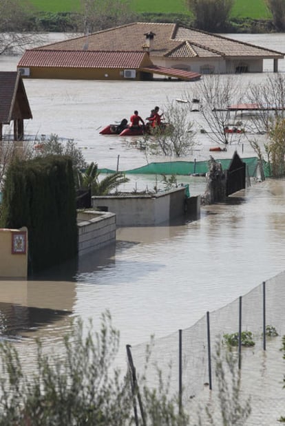 Una lancha navega entre parcelas inundadas por la crecida del Guadalquivir en febrero en Córdoba.