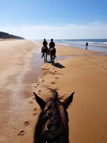 Un paseo a caballo por la playa de Torre del Loro, cerca de Mazagón, en el litoral onubense del entorno de Doñana. 