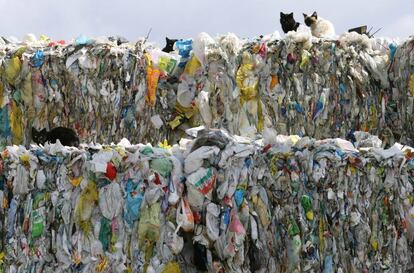 Plásticos en una planta de clasificación de basuras.
