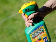 Un hombre usa el herbicida Roundup de Bayer.