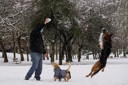 Un hombre y sus perros juegan con la nieve en un parque en Vitoria, este sábado. La ciudad amaneció cubierta de nieve por el temporal de frío que azota el norte de la península.