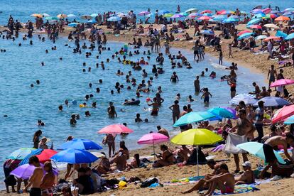 Playa de la Barceloneta verano de 2023