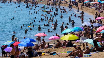 Playa de la Barceloneta verano de 2023