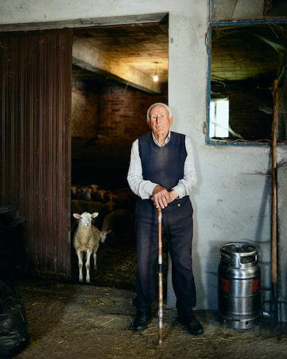 Eustaquio Pérez, en su casa de Beade, con una de sus ovejas.