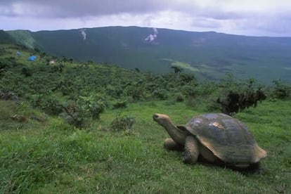 Islas Galápagos