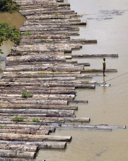 Madera ilegal decomisada en abril de este año en el Estado brasileño de Pará.