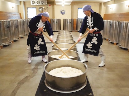 Proceso de elaboración de sake en la fábrica Daishichi, fundada en 1752, que cuenta con una técnica de elaboración especial, el método kimoto. Imagen de El mundo del sake, proporcionada por la editorial Planeta Gastro. 