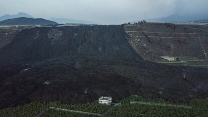 Erupcion Cumbre Vieja La Palma