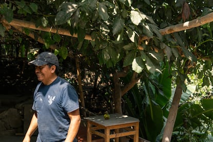 Herbert Escobar Rodríguez quien se encarga del cuidado de los árboles en la Selva escondida.