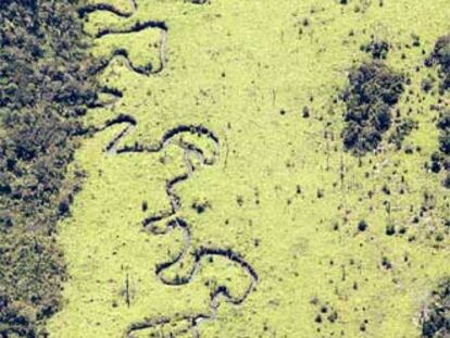 Vista aérea de una zona desforestada del Amazonas en el Estado de Mato Grosso, en Brasil.