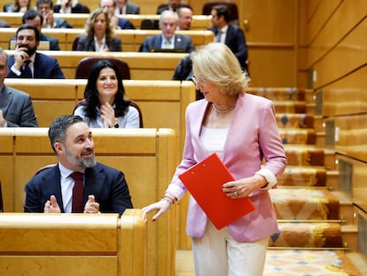 La diputada de Vox Lourdes Méndez Monasterio y el líder del partido, Santiago Abascal, este jueves en el pleno que ha aprobado eliminar la palabra disminuidos de la Constitución.