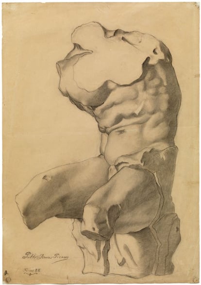 Pablo Picasso. Academia. Torso. A Coruña, 1892-1893. Carboncillo y lápiz conté sobre papel. 52,1 x 36,7 cm. Donación Pablo Picasso, 1970. Museu Picasso, Barcelona.