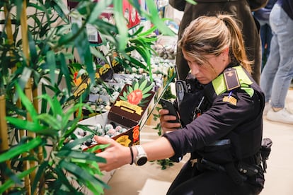 Una agente de la Guardia Urbana inspecciona golosinas de cannabis. 