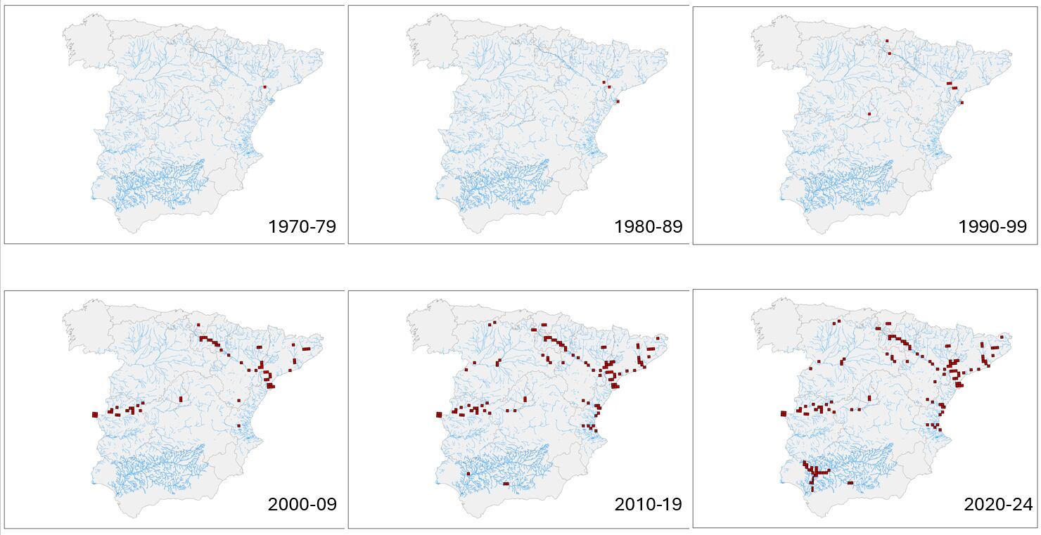 Mapas con la expansión del siluro en España. Programa Stop Siluro