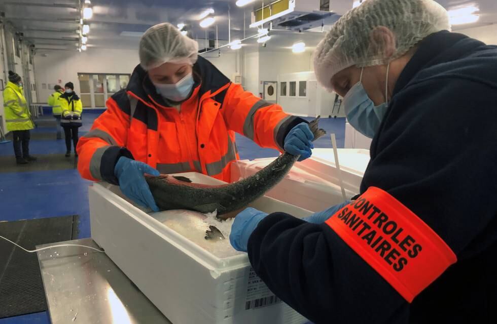 Agentes inspeccionan salmón de Reino Unido en una aduana francesa.