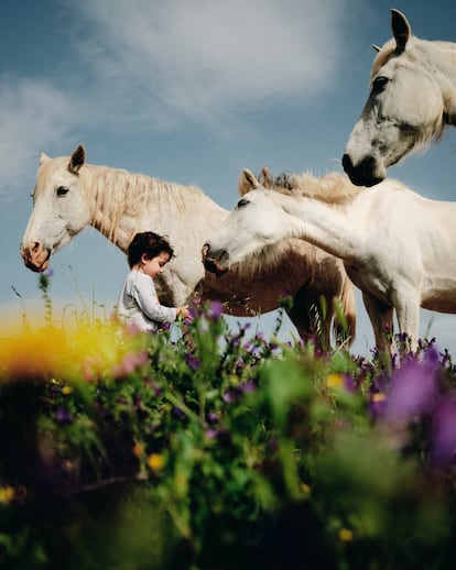 Encuentro con unos caballos durante un paseo por un cortijo en Cabo de Gata (Almería), en 2022.