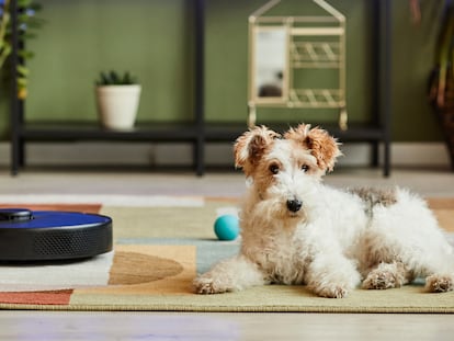 Robots aspiradores diseñados con motores de gran potencia pensados para que no se atasquen al atrapar el pelo de perros y gatos. GETTY IMAGES.