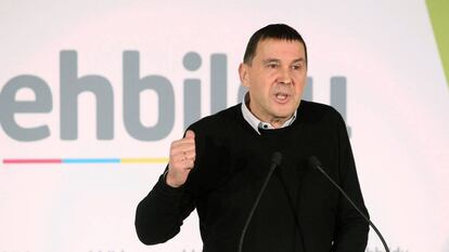 El secretario general de EH Bildu, Arnaldo Otegi.