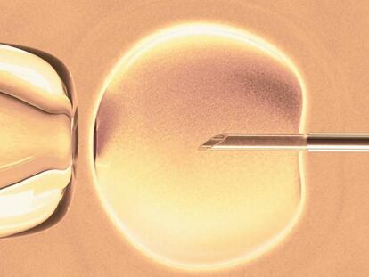 “La maternidad no es un derecho, es un privilegio”