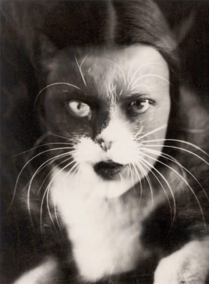 <i>Mujer con máscara de gato,</i> fotografía de Wanda Wulz que forma parte de la muestra <i>Female trouble,</i> de la Pinacoteca Moderna de Múnich.