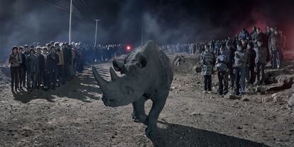 Un rinoceronte avanza en la noche entre dos filas de personas