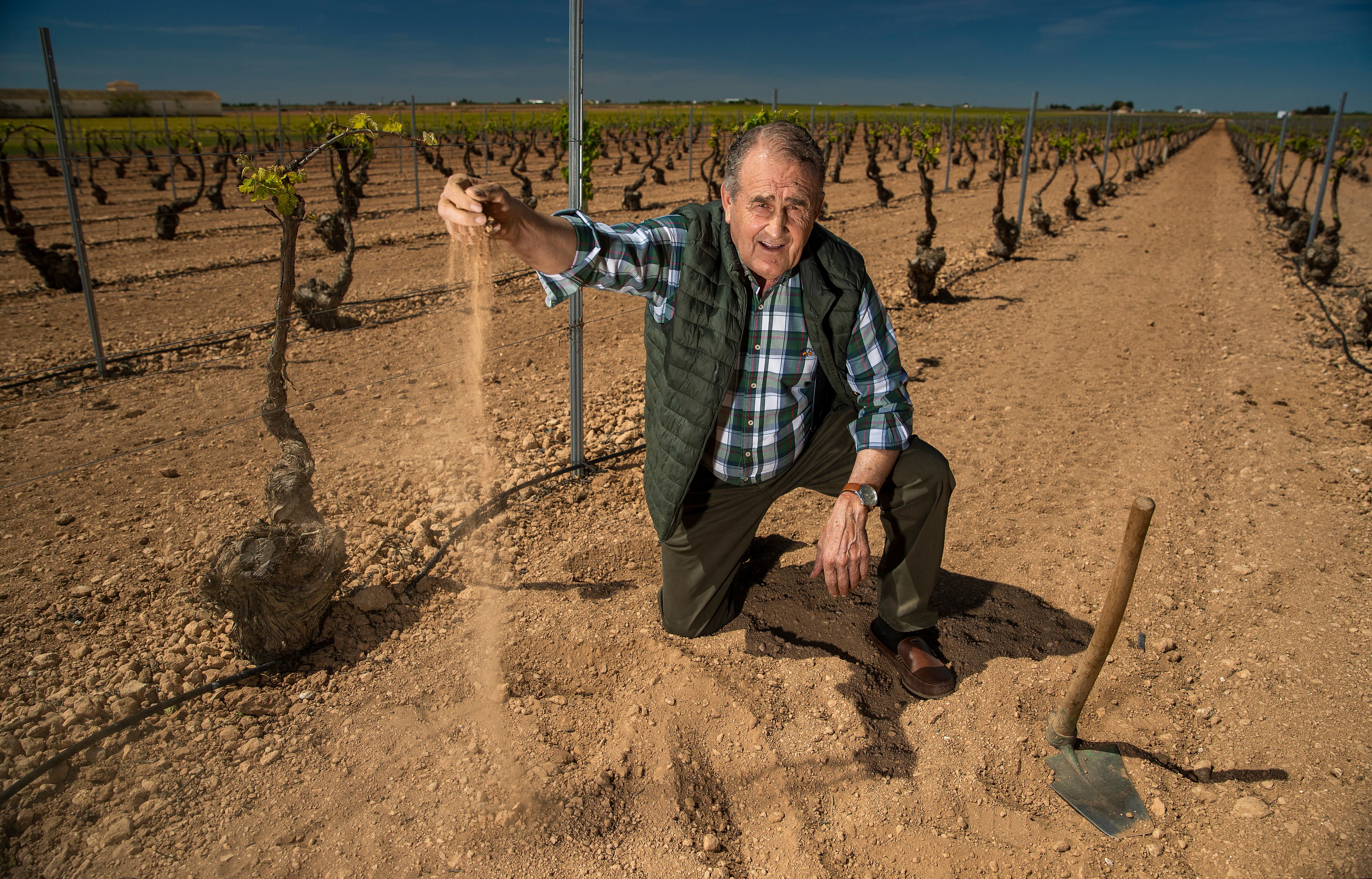 Hilario Díaz muestra la arena árida de su viña en Tomelloso. 