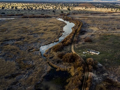 Imagen aérea donde se puede ver a la izquierda el cauce del río Guadiana, y a la derecha lo que se connnoce como Isla del Morenillo, que debería de estar rodeada de agua y que se encuentra totalmente seca.