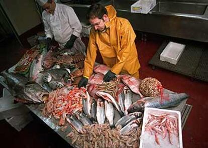 Inspección del pescado del día en la cocina de La Dorada, en Madrid.