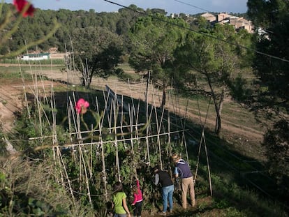 Un dels dos horts ciutadans de Navàs.