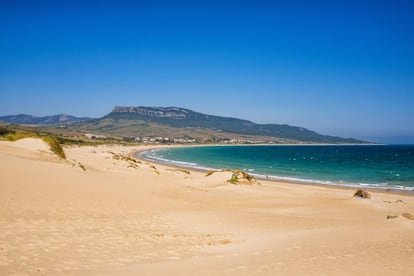 No habría que elegir playas; todas deberían estar en nuestro cerebro. La selección de <a href="https://elpais.com/especiales/playas/mas-bonitas-espana/resultados/" target="_blank">la votación 'online' de 'El Viajero'</a> se centraba en un arenal kilométrico y alejado de núcleos urbanos por provincia española, así que hay muchos que se quedaron en el tintero y que merecen estar en cualquier lista de deseos viajeros. Estas han sido las 10 playas más votadas. <br></br> La ganadora del concurso de las playas más bonitas de España, <a href="https://elviajero.elpais.com/elviajero/2019/06/20/album/1561049646_966282.html" target="_blank">convocado el pasado verano</a>, repite galardón. Una lógica aplastante vistos sus tres kilómetros rematados con una gigantesca duna de blanco nuclear. Donde más superficie de arena preserva la pleamar, los romanos erigieron esa Roma en miniatura que es la ciudad de Baelo Claudia. Persiste el aire semirrústico, como denotan las vacas retintas cuando las bajan a refrescarse junto las olas, o su acreditada quesería (<a href="http://elcabrerodebolonia.com/" target="_blank">elcabrerodebolonia.com</a>). El ambiente joven brilla en el chiringuito Serenade, donde tanto se desgusta el pargo o el borriquete como se sirven las mejores copas al atardecer. Del Serenade parten quienes desean bañarse desnudos en la zona rocosa de Los Baños de Claudia. Antes de ir a Bolonia conviene asegurarse (<a href="https://www.windguru.cz/53" target="_blank">en la web windguru.cz</a>) de que no castiga el viento de Levante.