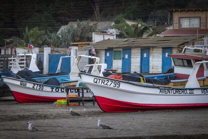 Botes pesqueros sobre la caleta de Ventanas. La actividad para este tipo de embarcaciones es casi nula.